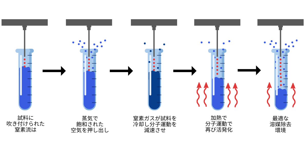 Nitrogen Evaporation Graphic (Japanese)